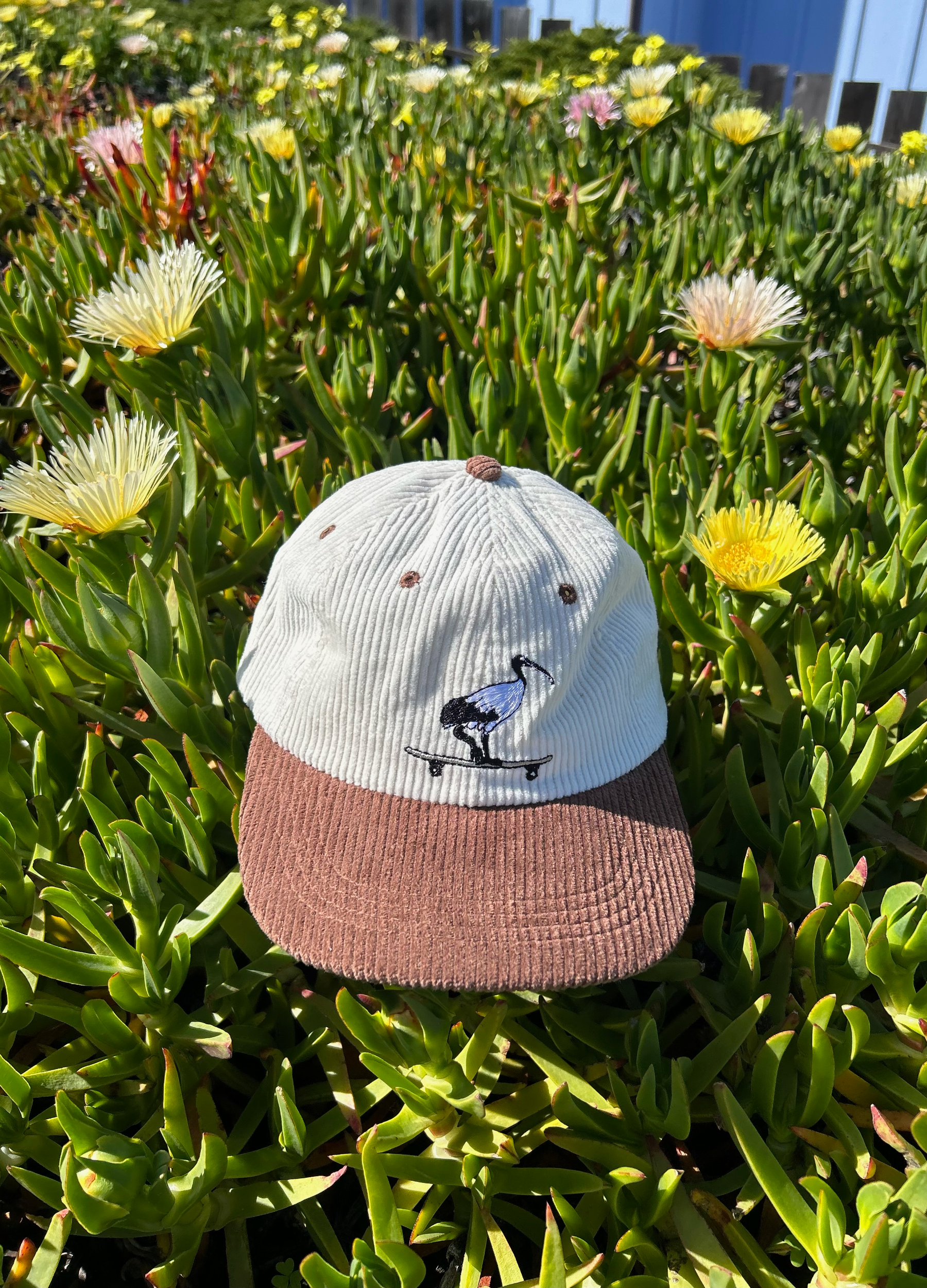 Skatepark Scavenger Hat